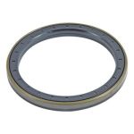 ZF APL Kassetenring Wellendichtring Planeten 121,8x150x13